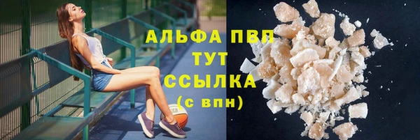 прущие грибы Новодвинск