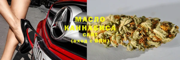стаф Новокубанск