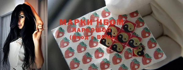 прущие грибы Новодвинск