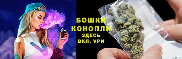 стаф Новокубанск