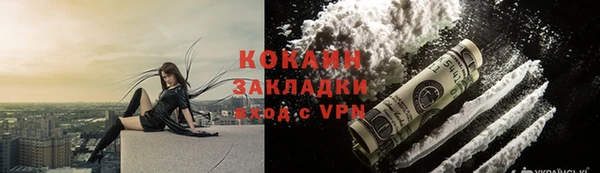 прущие грибы Новодвинск