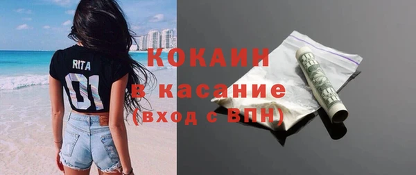 прущие грибы Новодвинск