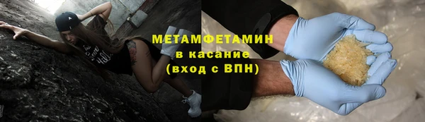 прущие грибы Новодвинск