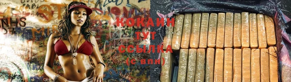 стаф Новокубанск