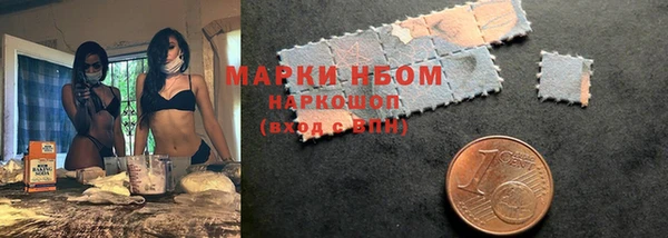стаф Новокубанск