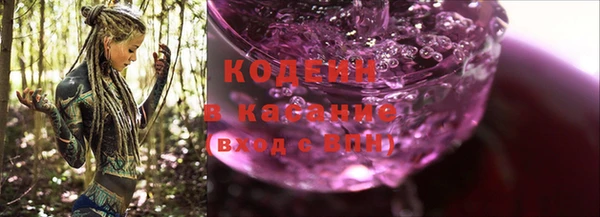 прущие грибы Новодвинск