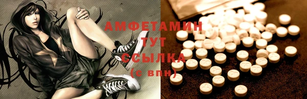 прущие грибы Новодвинск