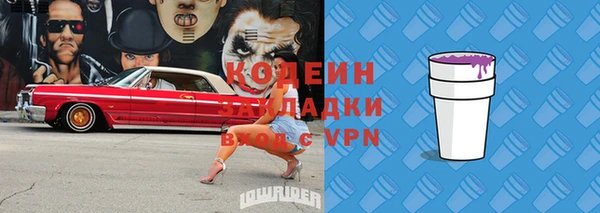 прущие грибы Новодвинск