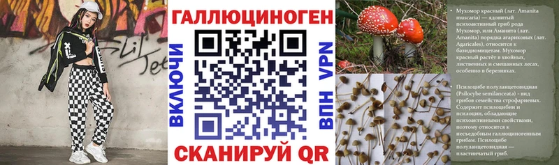 Псилоцибиновые грибы ЛСД  купить закладку  Белый 